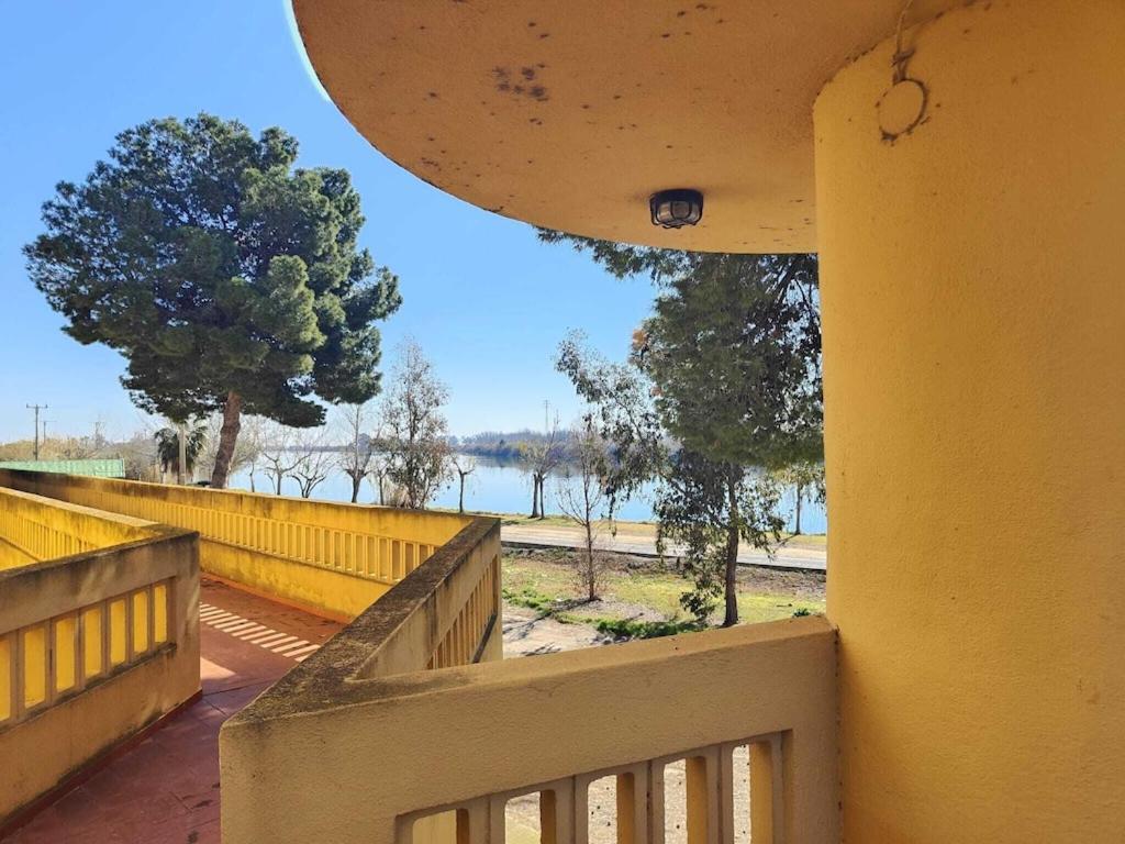 Superbe Appartement Terrasse Entierement Renove Au Bord De L'Ebre Deltebre Luaran gambar